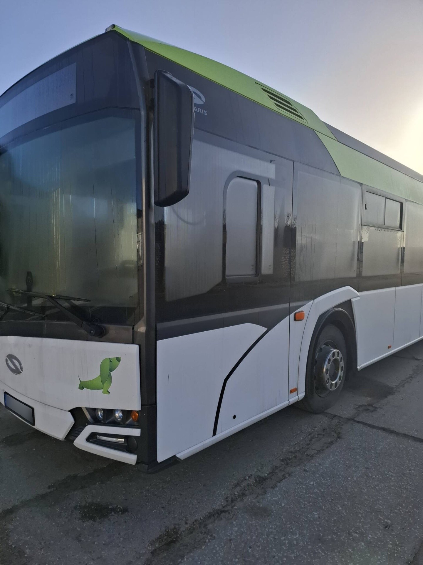 Autobus Solaris: Lakierowanie i adaptacja do komunikacji miejskiej | Niepruszewo